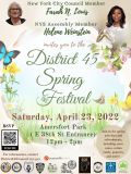 District 45 Spring Festival